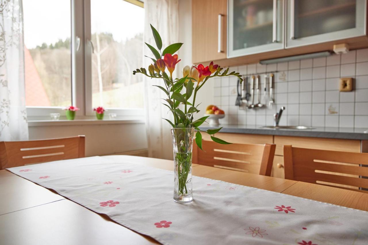 Apartman Svoboda Свобода-над-Упоу Екстер'єр фото